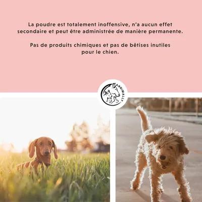 Annimally Adieu Tiques