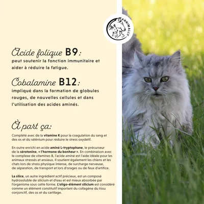 Annimally Vitamine B Complexe