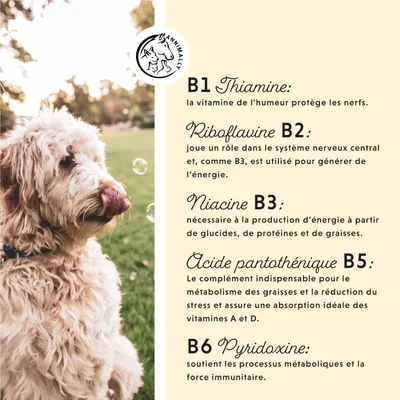 Annimally Vitamine B Complexe