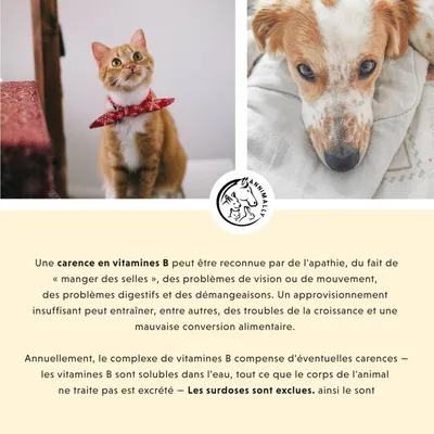 Annimally Vitamine B Complexe