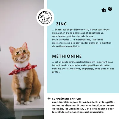 Annimally Poudre Peau & Pelage