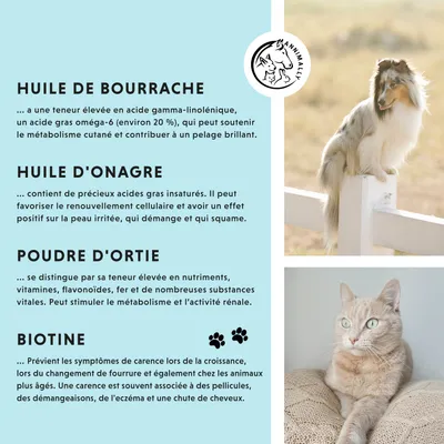 Annimally Poudre Peau & Pelage