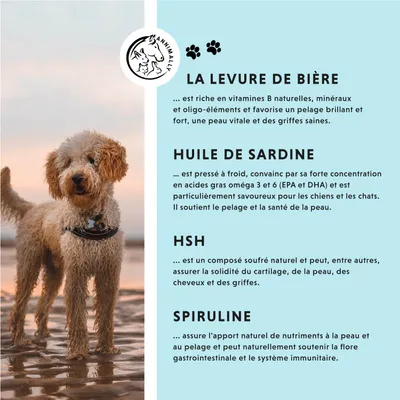 Annimally Poudre Peau & Pelage