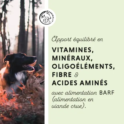 Annimally Super Barf Mélange Minéral Barf