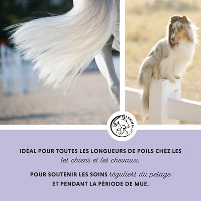 Annimally Soin Capillaire Pro