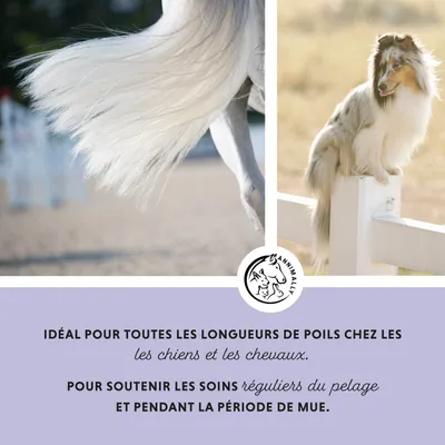 Annimally Soin Capillaire Pro