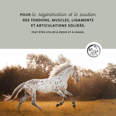Annimally Pâte d'argile