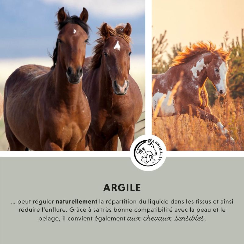 Annimally Pâte d'argile
