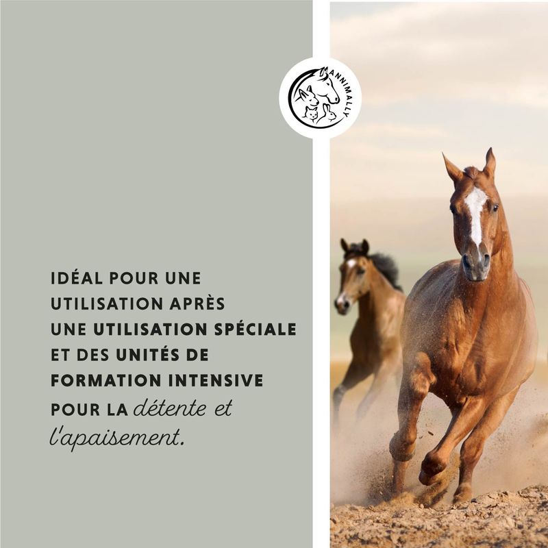 Annimally Pâte d'argile