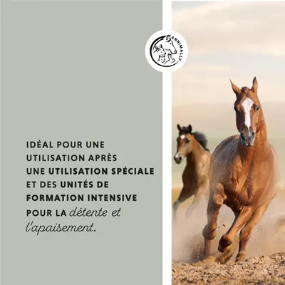 Annimally Pâte d'argile