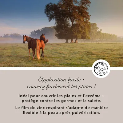 Annimally Spray de Zinc