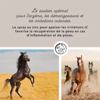 Annimally Spray de Zinc