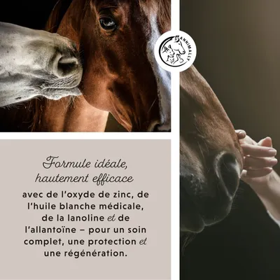 Annimally Spray de Zinc