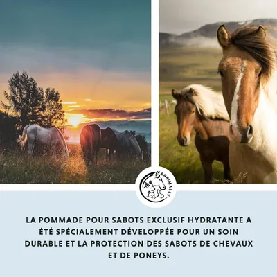 Annimally Pommade pour Sabots Exclusif