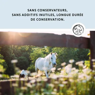 Annimally Pommade pour Sabots Exclusif
