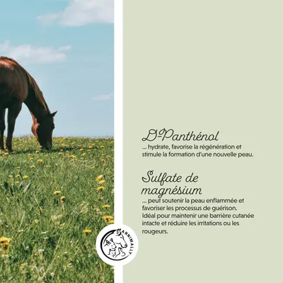 Annimally Crème Eczéma Plus