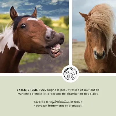 Annimally Crème Eczéma Plus