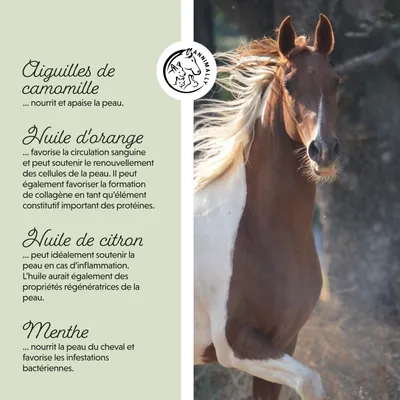 Annimally Crème Eczéma Plus