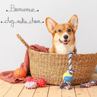Bijoux de mur - Message fil de fer -  Bienvenue chez notre chien