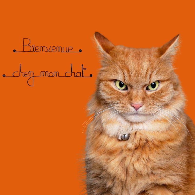 Bijoux de mur - Message fil de fer -  Bienvenue chez mon chat