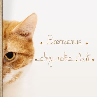 Bijoux de mur - Message fil de fer -  Bienvenue chez notre chat