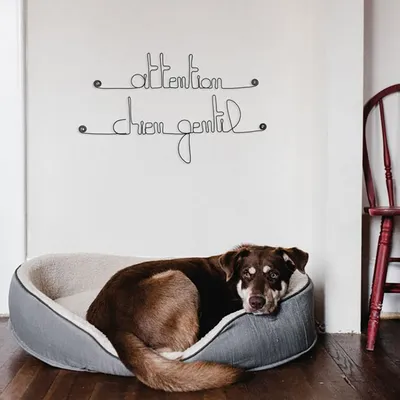 Bijoux de mur - Message fil de fer -  Attention chien gentil
