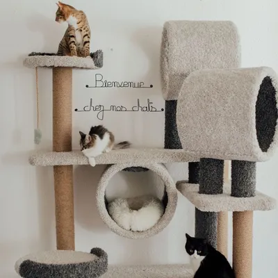 Bijoux de mur - Message fil de fer -  Bienvenue chez nos chats