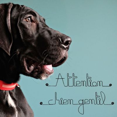 Bijoux de mur - Message fil de fer -  Attention chien gentil