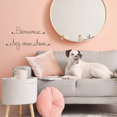 Bijoux de mur - Message fil de fer -  Bienvenue chez mon chien