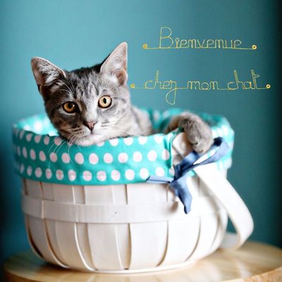 Bijoux de mur - Message fil de fer -  Bienvenue chez mon chat