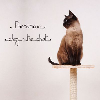 Bijoux de mur - Message fil de fer -  Bienvenue chez notre chat