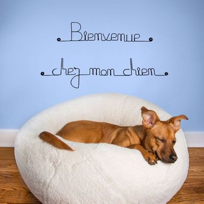 Bijoux de mur - Message fil de fer -  Bienvenue chez mon chien