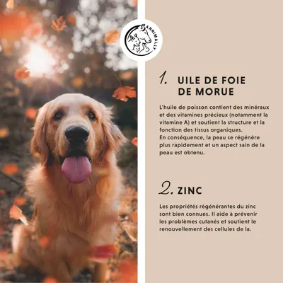 Annimally Bobo-Baume Plus