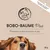 Annimally Bobo-Baume Plus