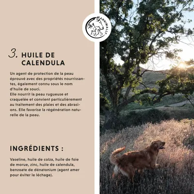 Annimally Bobo-Baume Plus