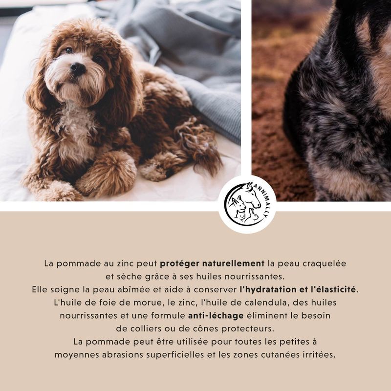 Annimally Bobo-Baume Plus