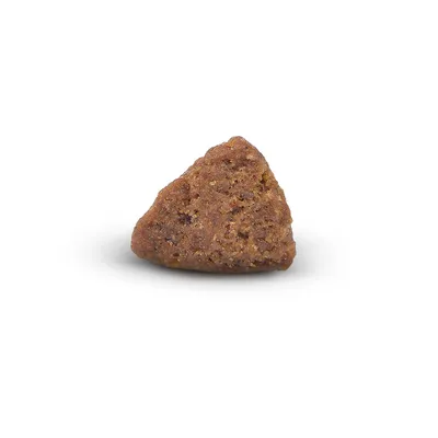 Arden Grange Chiot/Junior – Poulet & Riz