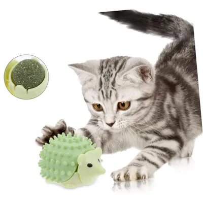 UAMLY Jouet boule d'herbe à chat