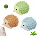 UAMLY Jouet boule d'herbe à chat