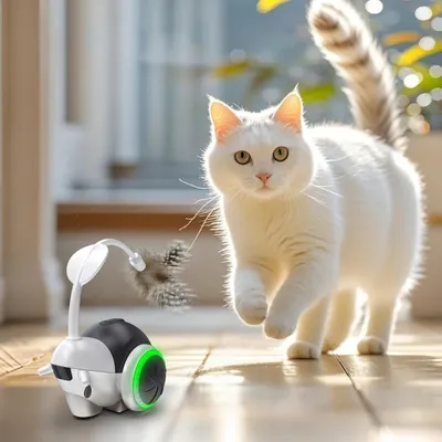 UAMLY Voiture électrique interactive pour chat