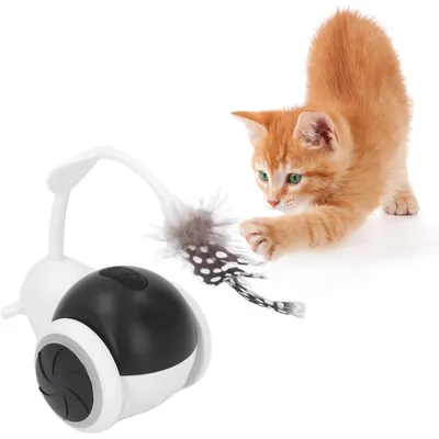 UAMLY Voiture électrique interactive pour chat