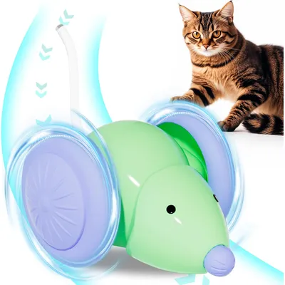 UAMLY Jouets pour chats pour se divertir