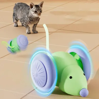 UAMLY Jouets pour chats pour se divertir