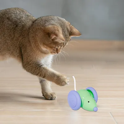 UAMLY Jouets pour chats pour se divertir