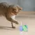 UAMLY Jouets pour chats pour se divertir