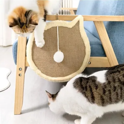 UAMLY Tapis à gratter en forme de tête de chat