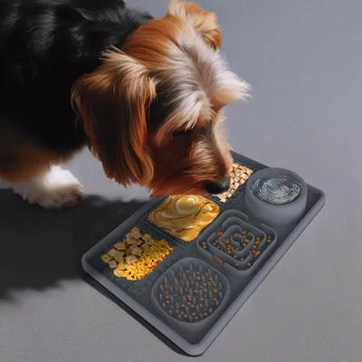 UAMLY Tapis d'alimentation lente pour chien
