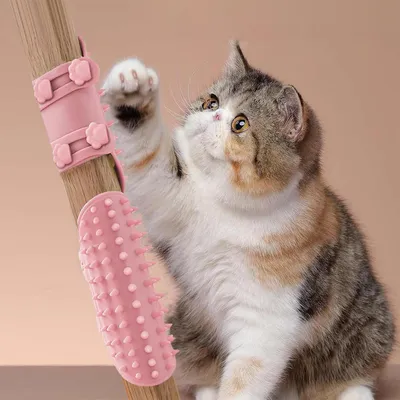 UAMLY Démangeaisons et grattoir à poils de chat