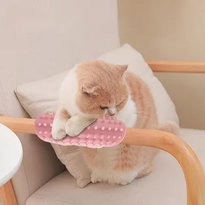 UAMLY Démangeaisons et grattoir à poils de chat