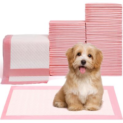 UAMLY Tapis d'apprentissage de la propreté pour animaux de compagnie
